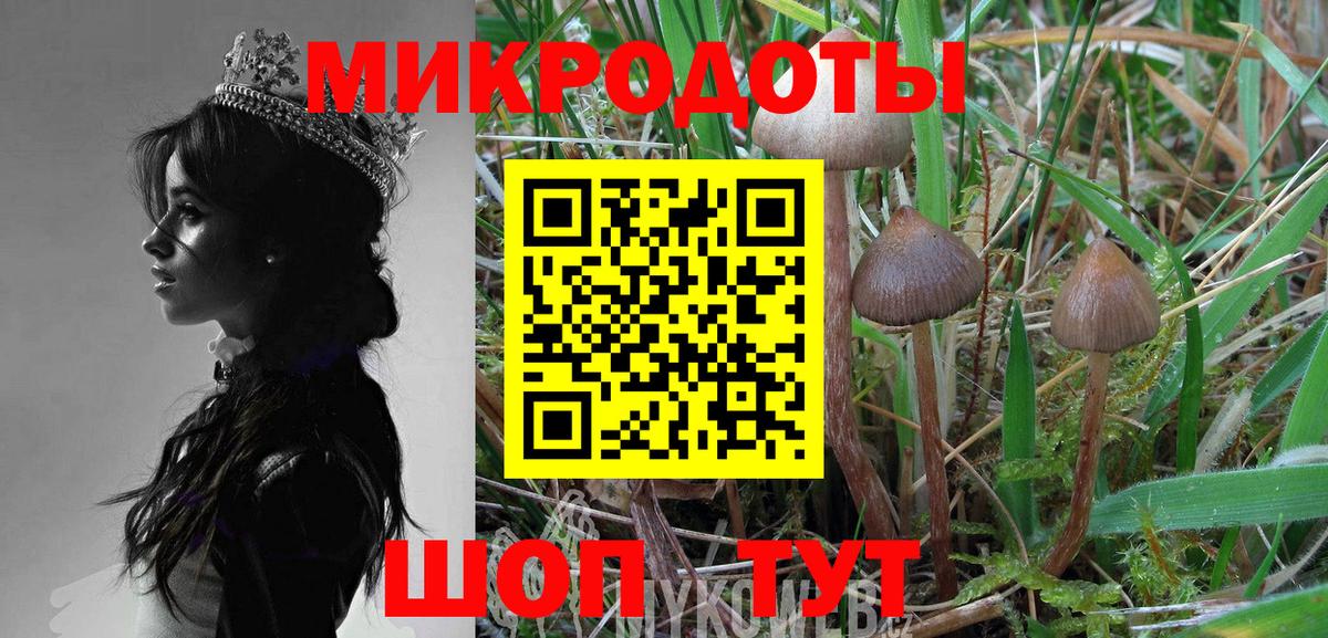 Галлюциногенные грибы Magic Shrooms Новочеркасск