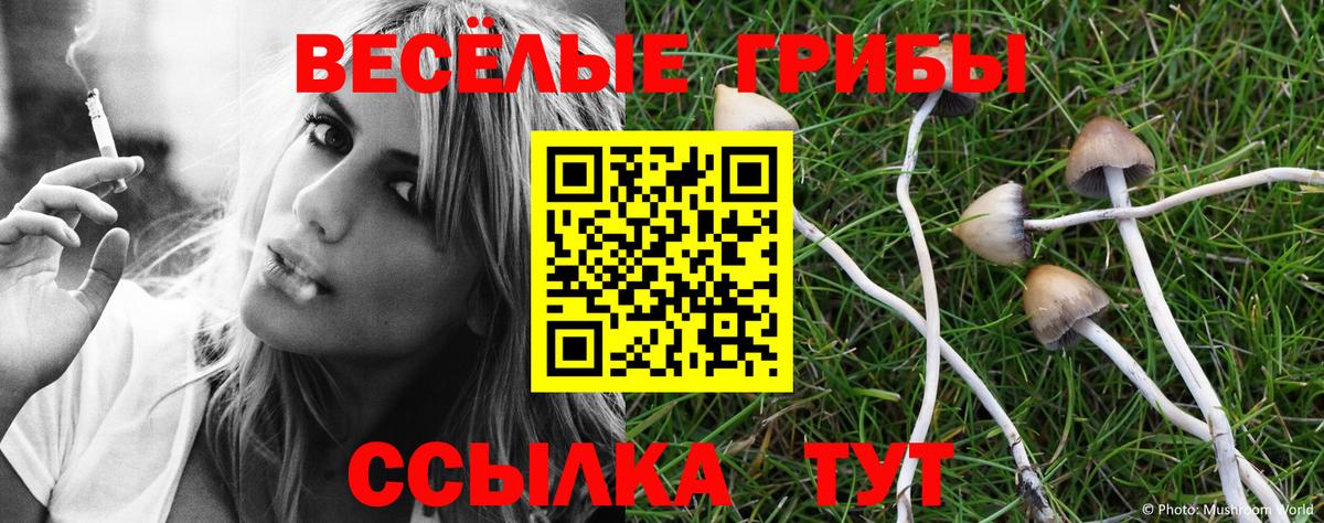 Галлюциногенные грибы мицелий  Галлюциногенные грибы MAGIC MUSHROOMS  Вход с VPN  где купить наркотик  Новочеркасск 